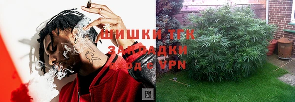 mdpv Заводоуковск